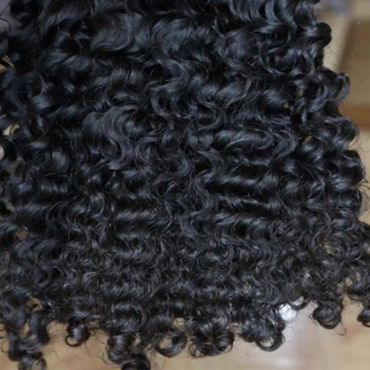 Raw Burmese Curly